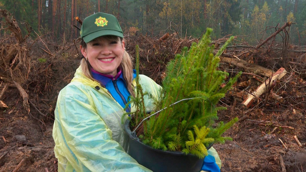 Вместе создаём будущее! / В Могилёвском районе прошли работы по восстановлению леса после урагана