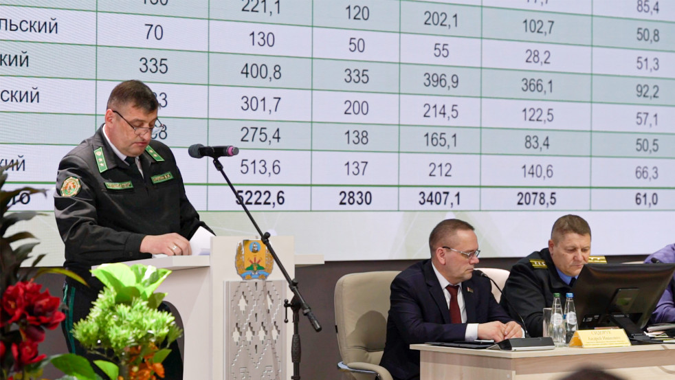 Могилёвские лесхозы подвели итоги: рекордная заготовка древесины и экономический рост