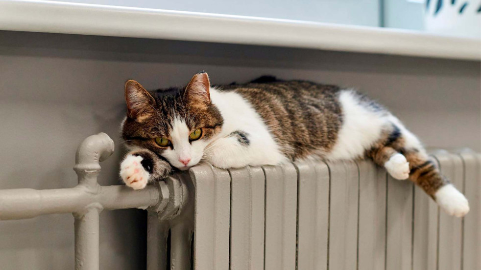 Отопительный сезон стартовал в жилом фонде Могилёва / Когда ждать тепла в районных центрах?