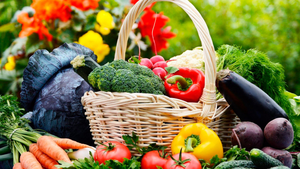 Нужно ли платить налог при продаже урожая со своего участка, разъясняет налоговая инспекция
