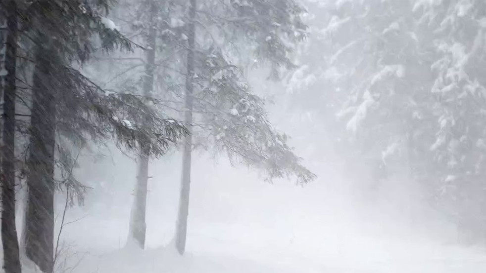 Могилёвская область во власти циклона «Фрэнсис-Улли»: за ночь выпало 1.5 месячной нормы осадков. Ситуация под контролем