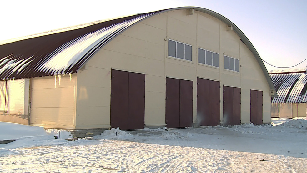 До 2030 года в Могилёвской области планируют построить и модернизировать 83 животноводческих объекта