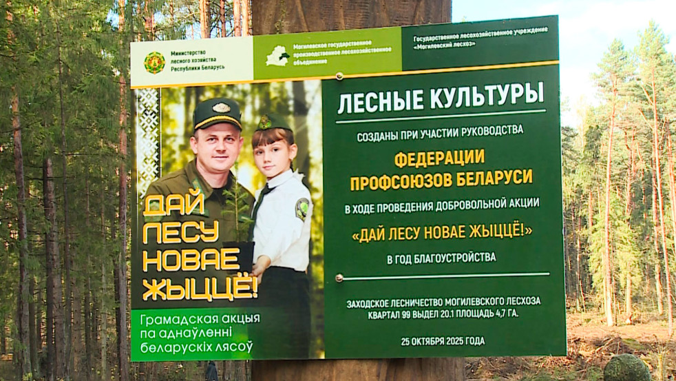 Представители Федерации профсоюзов Беларуси помогли высаживать лес на Могилёвщине