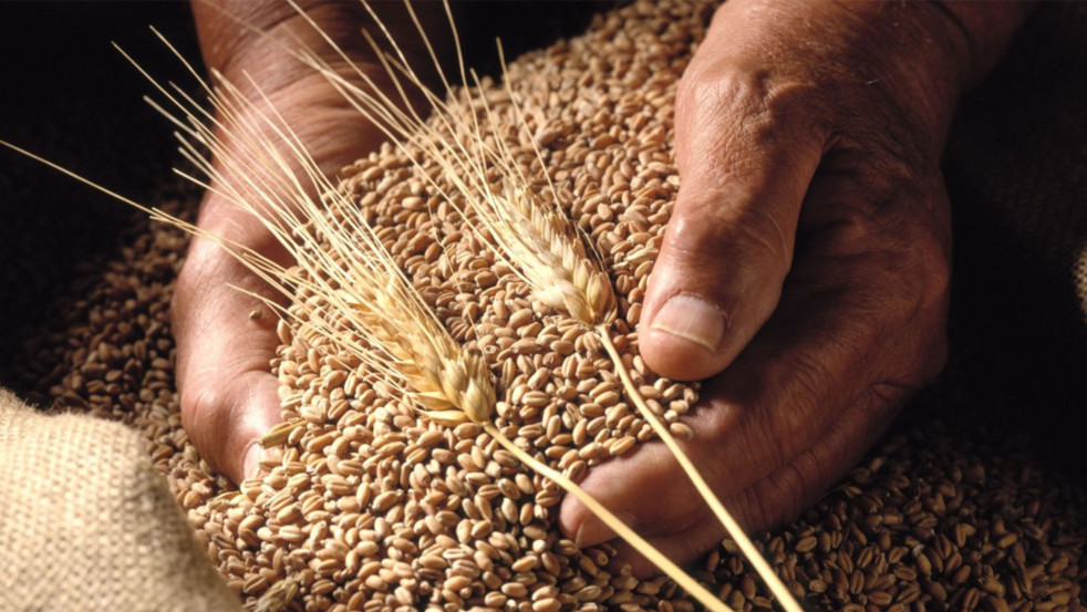 Могилёвская область собрала богатый урожай