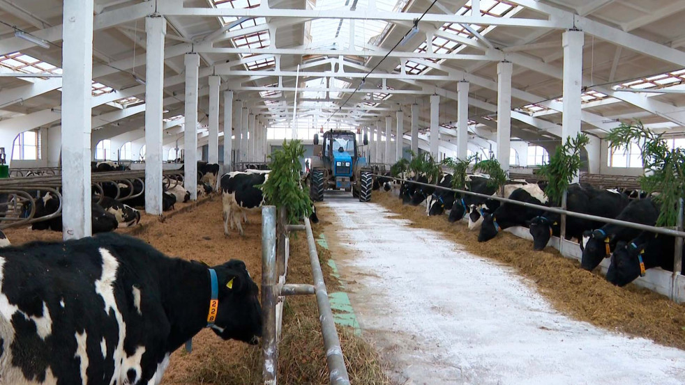 В Горецком районе после реконструкции открылся современный молочно-товарный комплекс