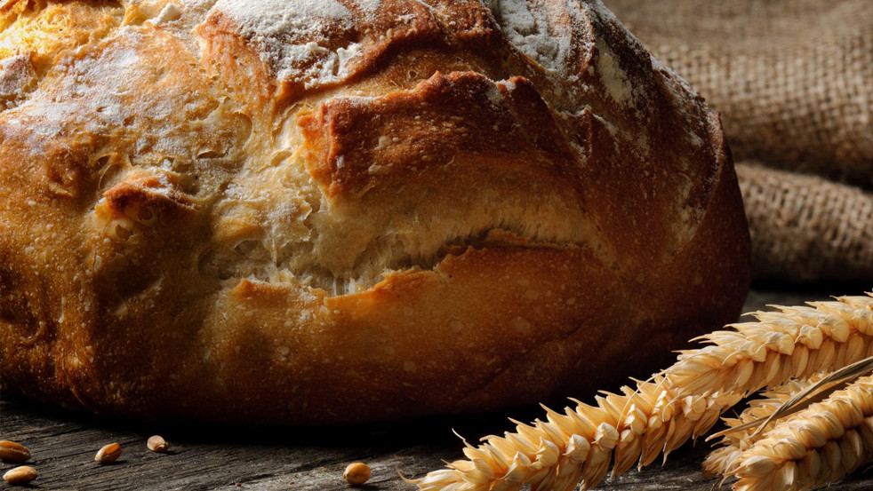 «Домочай» о поддержке семьи и родительского воспитания в трудовом коллективе