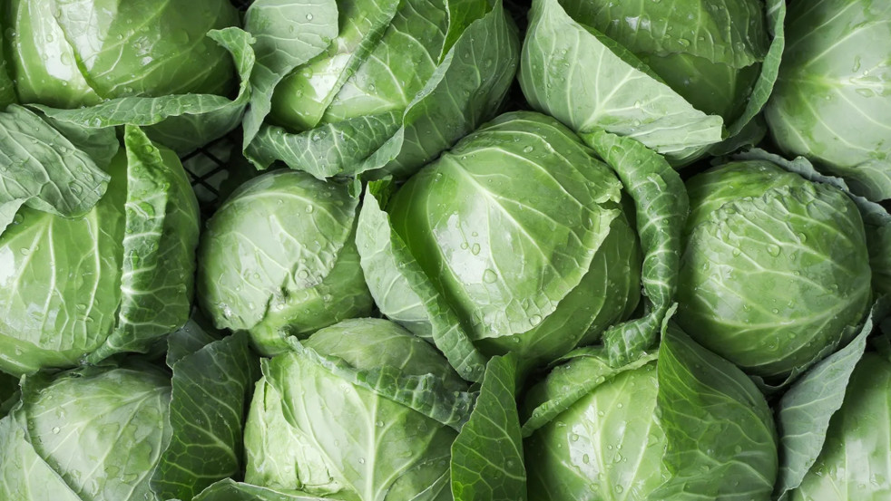 Могилёвская область заложила в стабфонд 18 тыс. тонн овощей и яблок