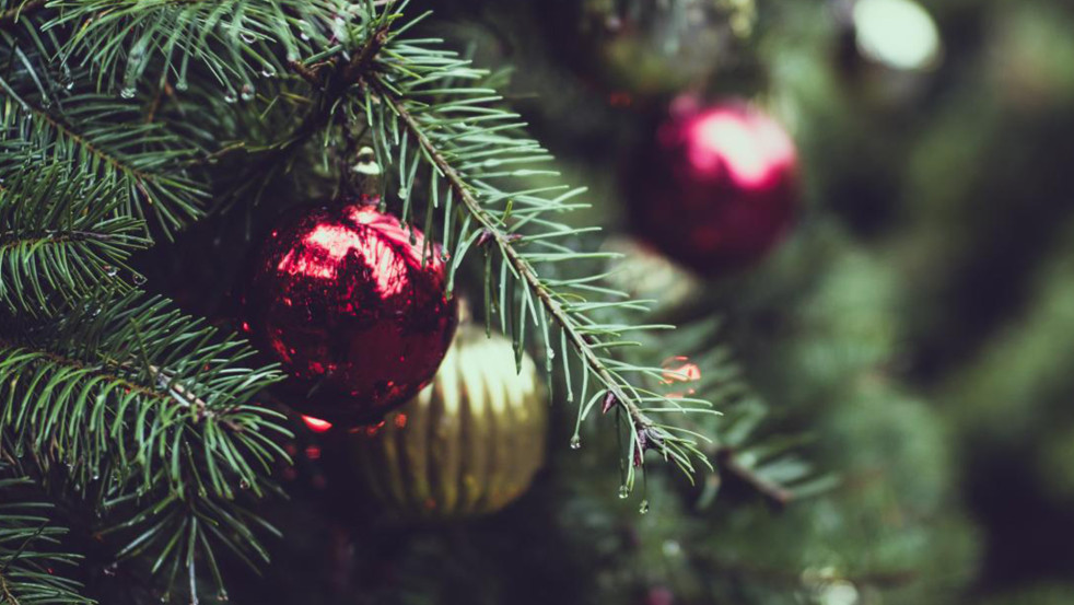 В Могилёве стартовала благотворительная акция «Гирлянда желаний — с верой в чудо!»