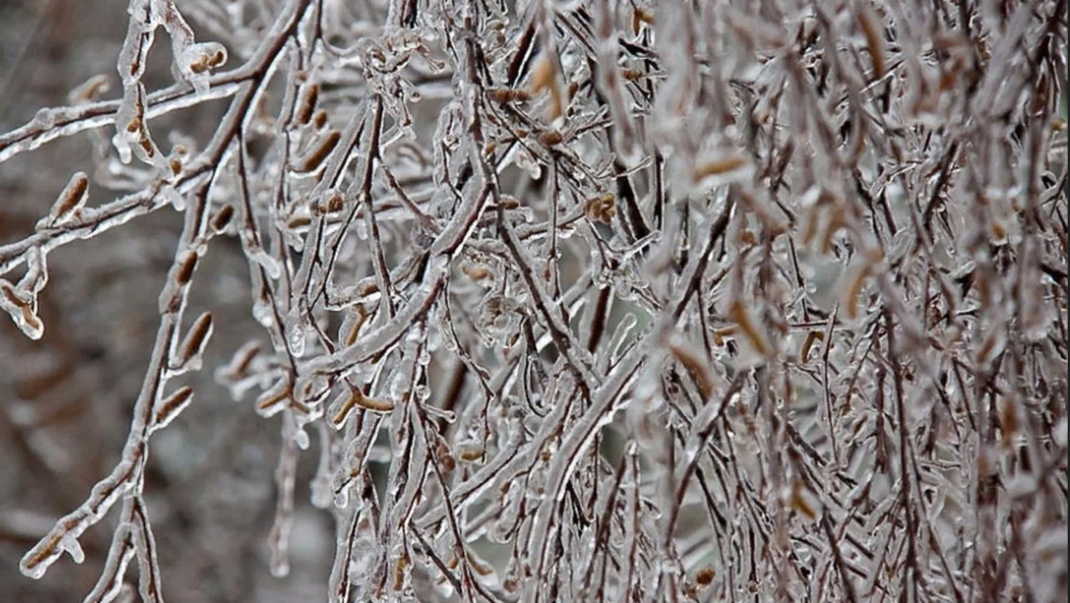До -25°C и сильный ветер/ Что ждёт жителей Могилёвской области?