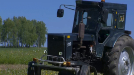 Сначала было яйцо... а потом бизнес с ароматом халуми!
