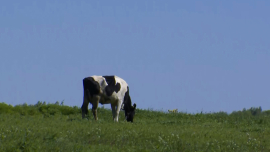 Вдохновляющие истории, где земля, труд и человек становятся одним целым!