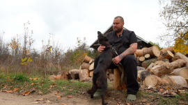 Как государство, зоозащита и хозяева животных изменили законодательство