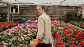 Мечтаете о красивом саде? Начните с растения, которое вас вдохновляет!