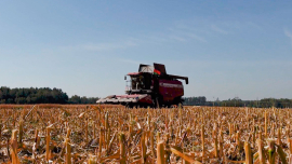 Прийти на землю и сделать все по-хозяйски!