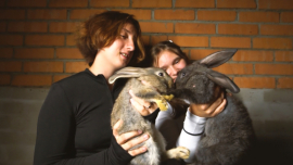 Воспитать в ребенке трудолюбие — это по-хозяйски!