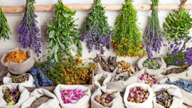 Бизнес на травах, листьях и почках — что?! Это возможно?!