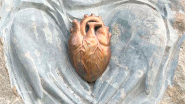 Кардиохирургический корпус Могилёвской области: надежная и результативная помощь!