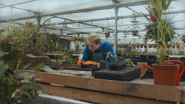 Цветы не интересны? Только не у Кирилла Кветки! Как превратить обычные растения в захватывающее приключение