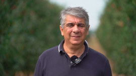 Простые любители с душой выращивают нездешние культуры