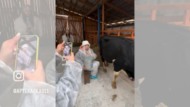 Современный рынок требует хозяйственных решений!