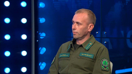 В Беларуси наблюдается исторический максимум по численности основных видов охотничьих животных