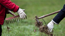 Субботник проходит в нашей стране ежегодно! Эта традиция сближает дух нации и современной Беларуси!