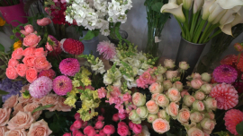 От бетона к бутонам: как строитель нашла свой рай в цветах