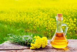 Рапсовое масло от Бобруйского завода растительных масел экспортируют в 17 стран мира