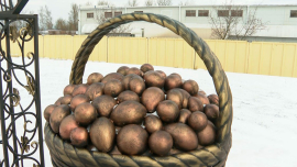 Бронзовая корзина с картошкой украшает агрогородок Большие Бортники.