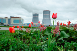 Беларусь мирной ядерной программой поломала планы посадить весь регион на западную электрическую иглу