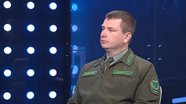 Дерюгин: Лес — наше богатство