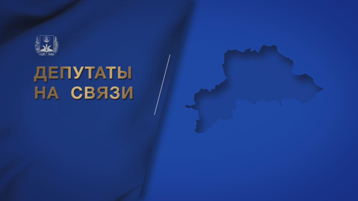 Депутаты на связи!