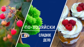 Как собрать богатый урожай малины? / Почему домашние сладости лучше магазинных? / По-хозяйски