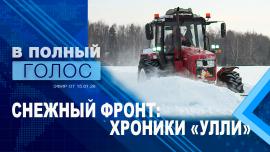 Циклон «Улли» в Беларуси / Как коммунальные хозяйства справились со снегом