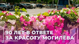 Могилевзеленстрой отмечает юбилей! Здесь выращивают более миллиона цветов для улиц и скверов города