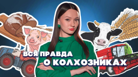 От поля и трактора до 10 миллиардов долларов / Технологии в сельском хозяйстве / Версия Петрусевич