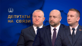 Порядок на земле / Как инициативные люди меняют наши города и деревни к лучшему / Депутаты на связи