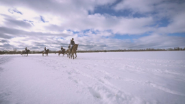 Моя Могилевщина / Зима путешествуем рядом