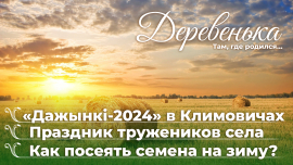 Главный праздник аграриев / «Дажынкі-2024» в Климовичах / Деревенька