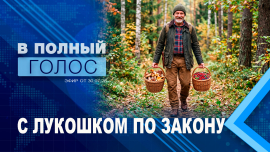 А вы уверены, что правильно собираете грибы и ягоды? / Важная информация / В полный голос