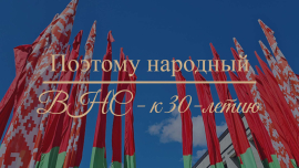 Голос нации и защита суверенитета: почему ВНС — это уникальный институт народовластия?