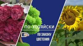 Флористика по-хозяйски // О том, как растения меняют людей и города