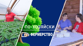 Ферма с нуля | Лучше итальянских и французских — сыр своими руками