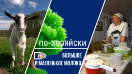 Говорят, ценный подарок— это книжка, а оказывается — корова! / По-хозяйски