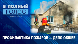 Алкоголь и сигарета убивают! / Пожарная безопасность / Профилактика пожаров / В полный голос