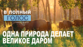 Чем привлекает Беларусь туристов? ПРИРОДОЙ / Всемирный день окружающей среды