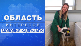 Город VS Село: где строят карьеру и живут жизнь? / Молодые аграрии / Область интересов