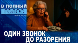 Как работают мошенники? Разбор схем: от телефонных звонков до дропов / В полный голос