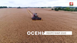 Моя Могилевщина / Уборочная-2023