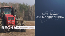 Моя земля / Моя Могилевщина / Посевная 2023 / Специальный проект